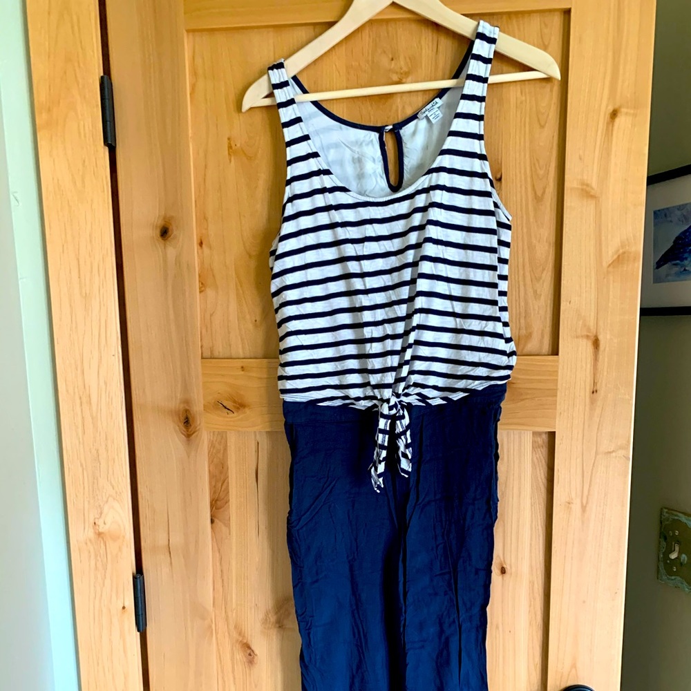Splendid Blue and White Striped Jumpsuit